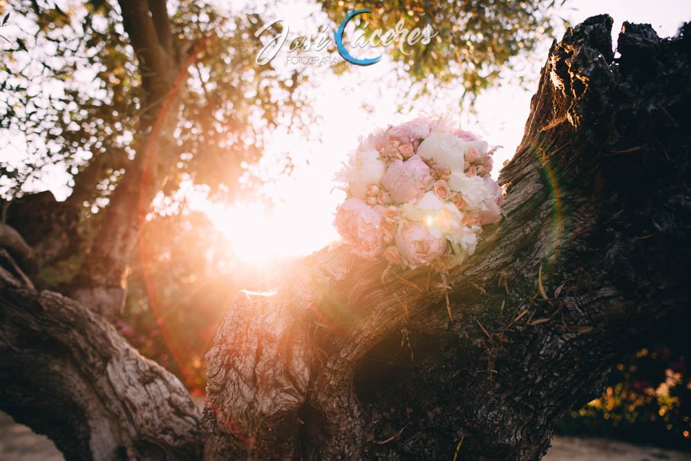 Finca Tabajete, Boda RyJ-38
