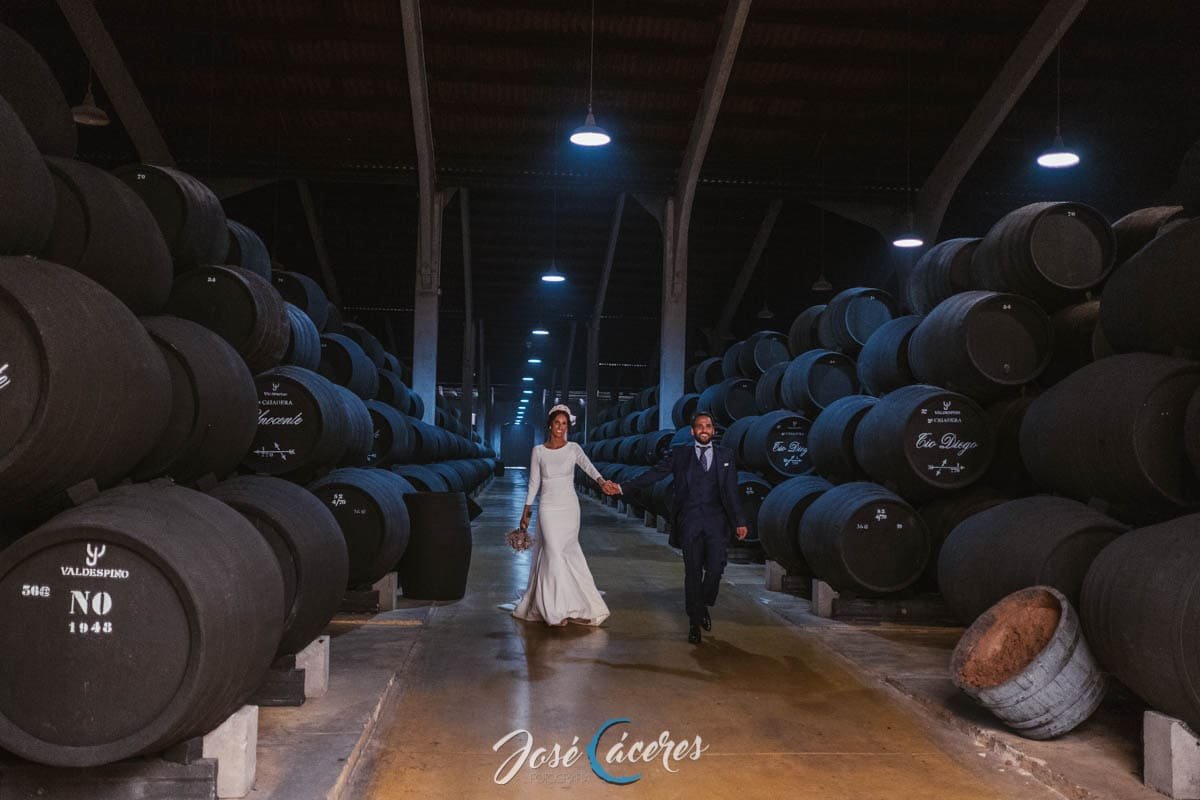 Boda en Bodegas Real Tesoro