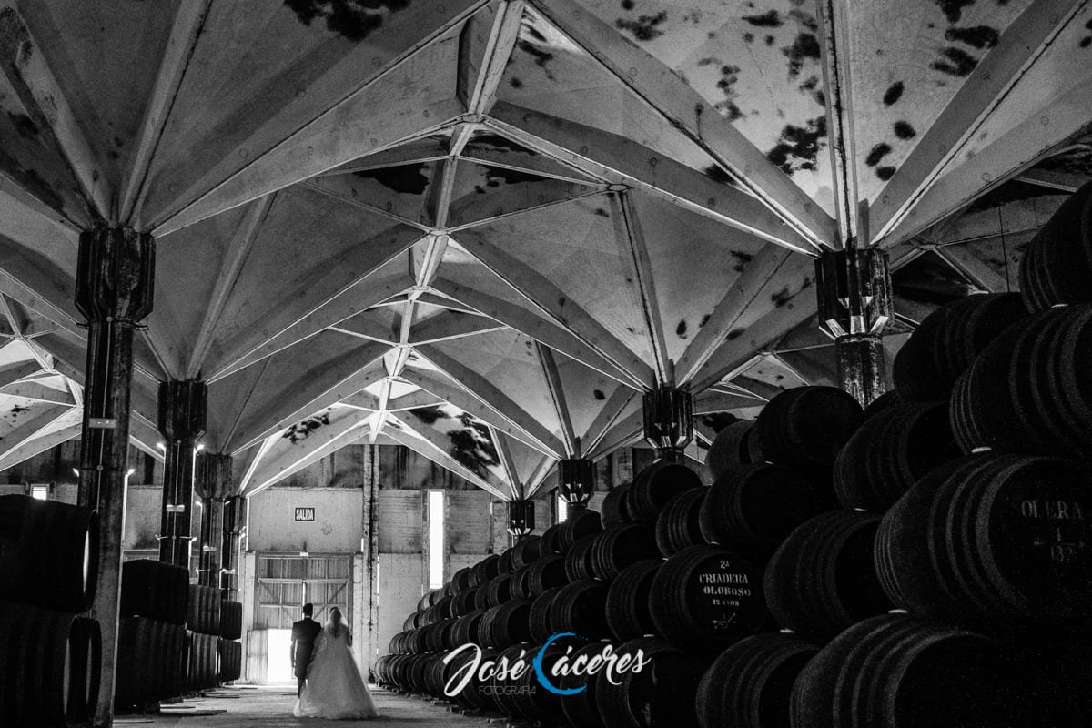 Boda en Jerez de Paula y Fran