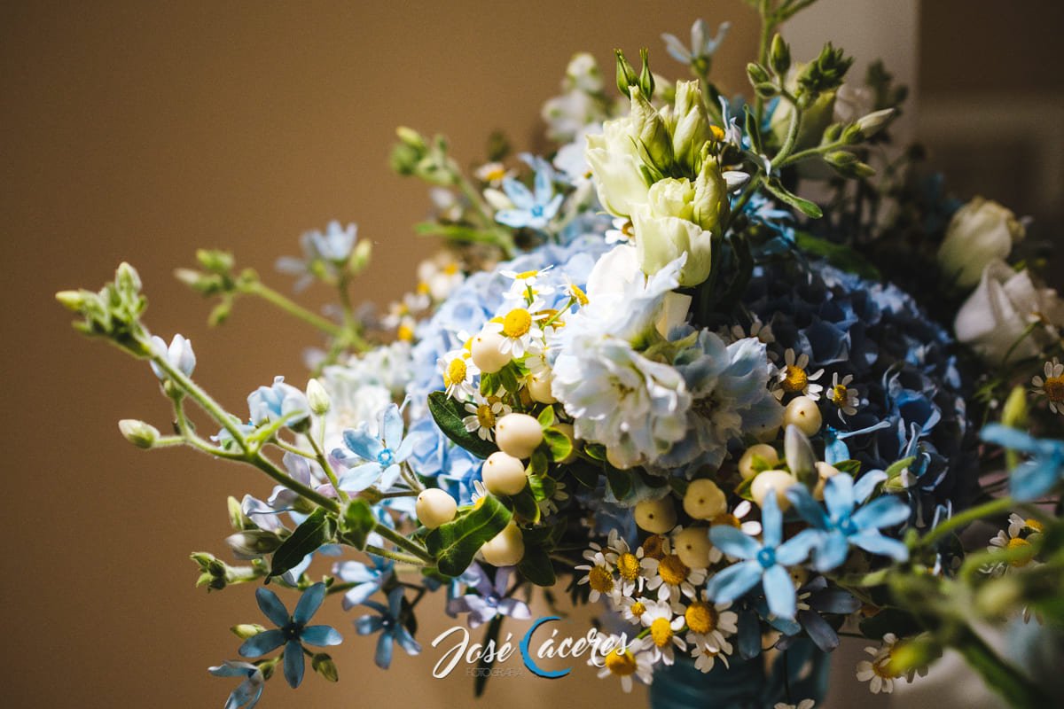 Boda en Jerez