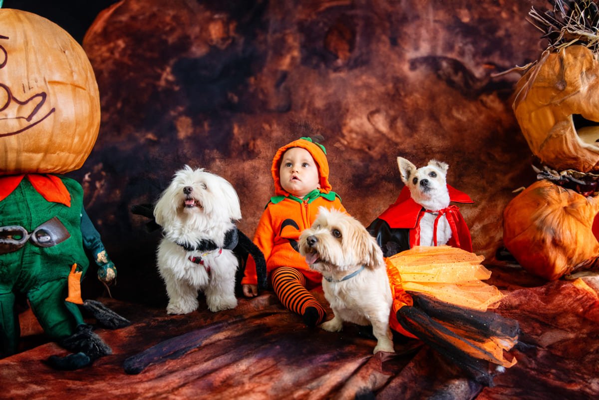 fotos de halloween para niños