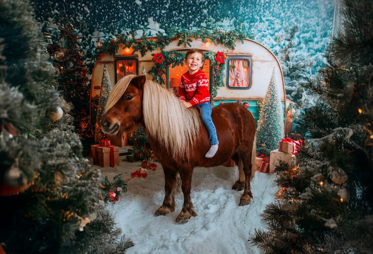 Reportajes navideños con Animales-1 Navidad mágica con niños y mascotas en Jerez