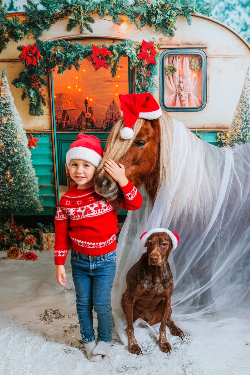 Reportajes navideños con Animales-12 Navidad mágica con niños y mascotas en Jerez