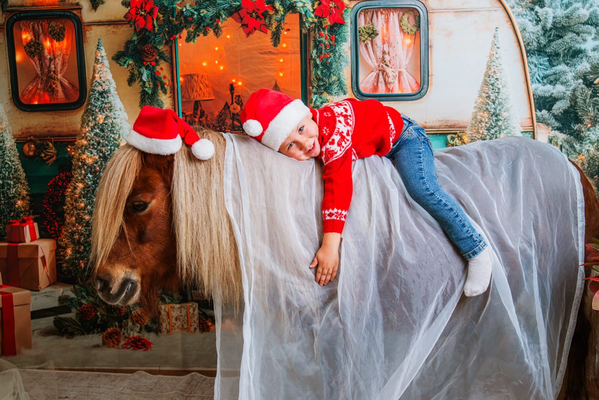 Reportajes navideños con Animales-13 Navidad mágica con niños y mascotas en Jerez
