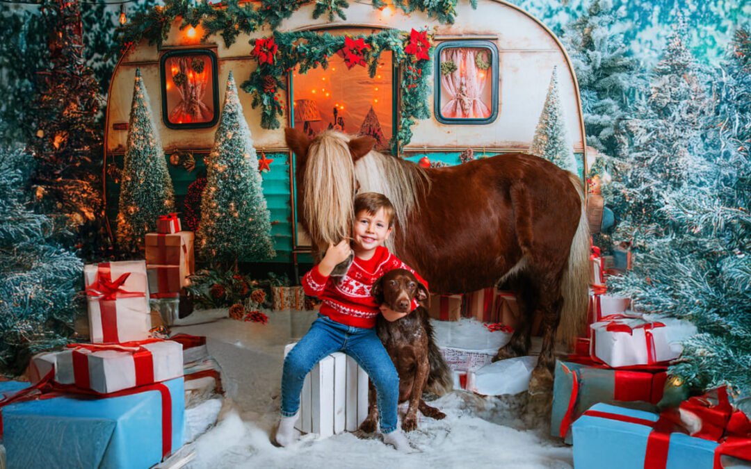 📸 Reportajes de Navidad con Mascotas en Jerez