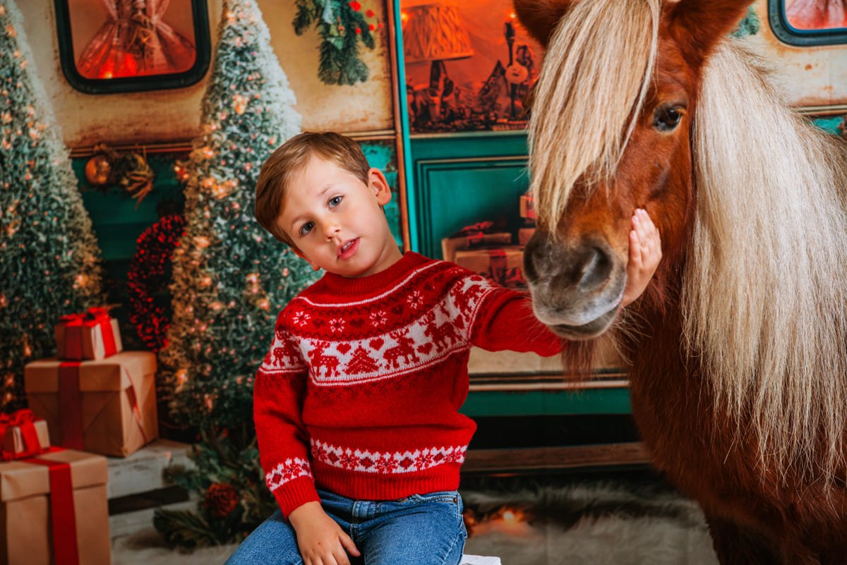 Reportajes navideños con Animales-7 Navidad mágica con niños y mascotas en Jerez