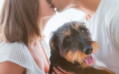 Sesión premamá en Jerez con pareja y mascota | Fotos naturales