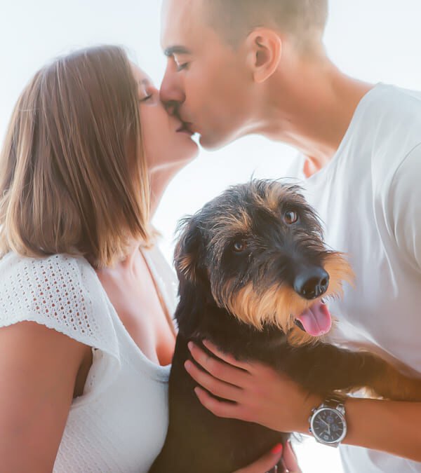 Sesión premamá en Jerez con pareja y mascota | Fotos naturales