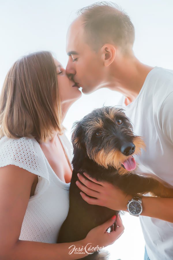 Sesión premamá en Jerez con pareja y su mascota