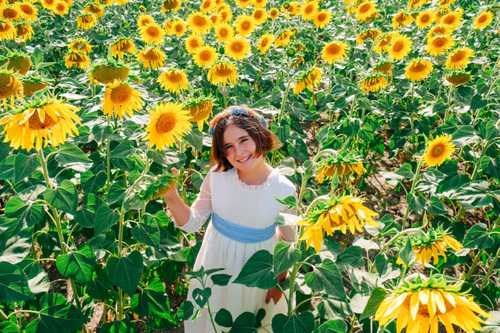 Sesión de comunión en campo de girasoles en Cádiz