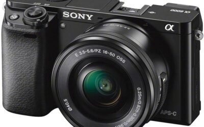 Las mejores cámaras para empezar en fotografía (2026) – Guía