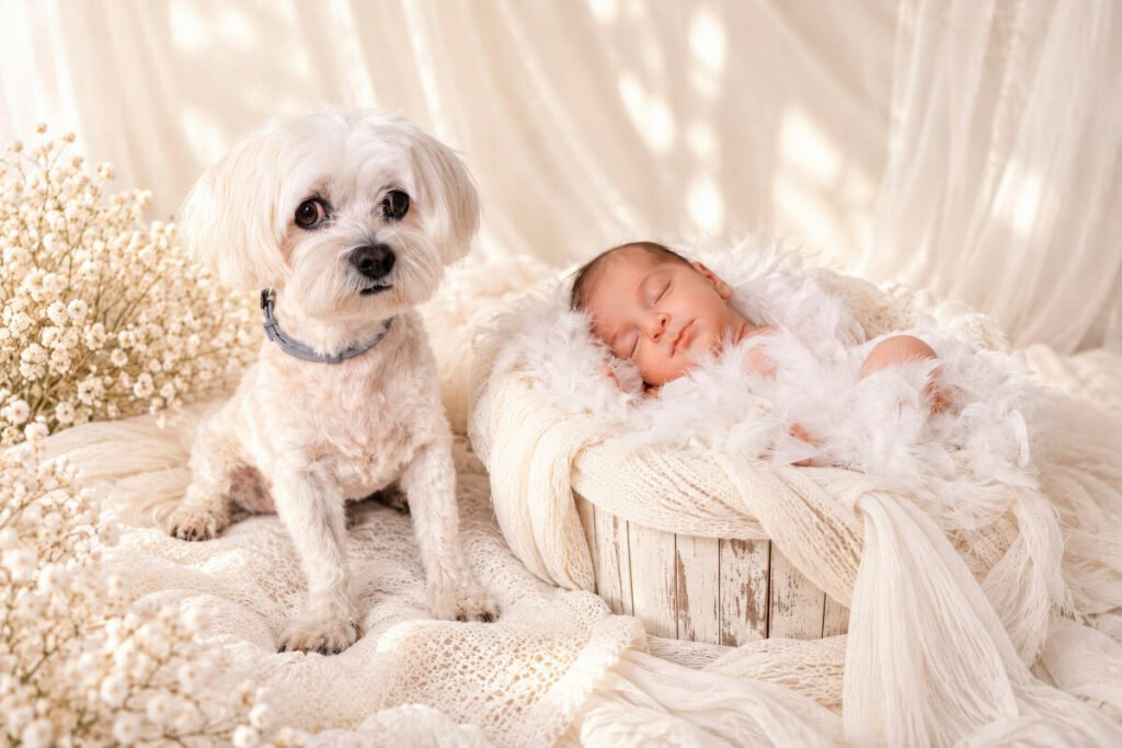 sesion-newborn-estudio-jerez