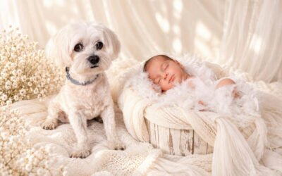 Sesión newborn en casa o en estudio: ¿qué opción elegir?